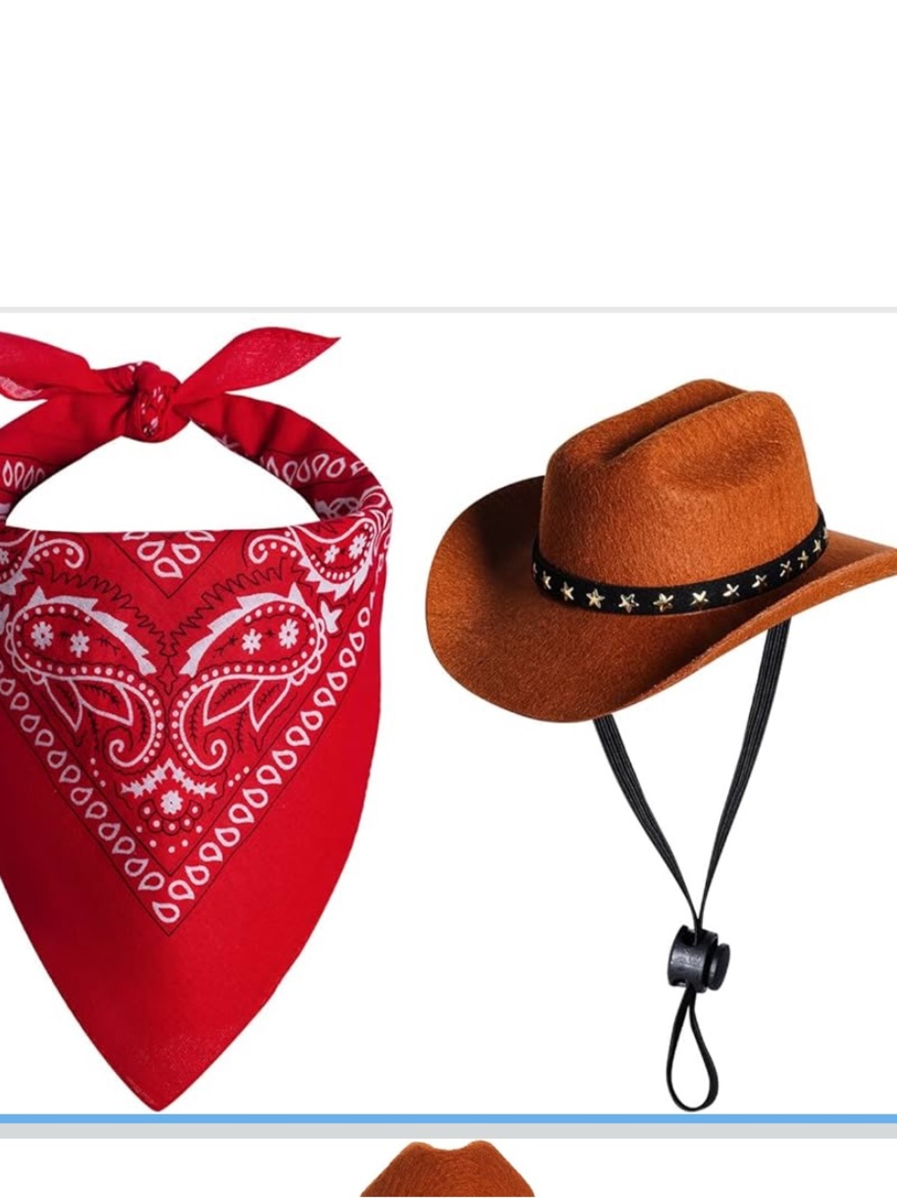 Cat Red Bandana Scarf & Brown Felt Cowboy Hat Set